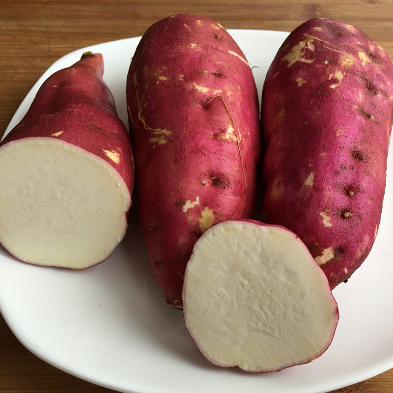北义城老品种红薯红皮白心5斤迷你番薯