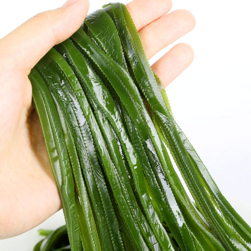 海带5斤丝海带头盐渍新鲜干货散装昆布根整海带