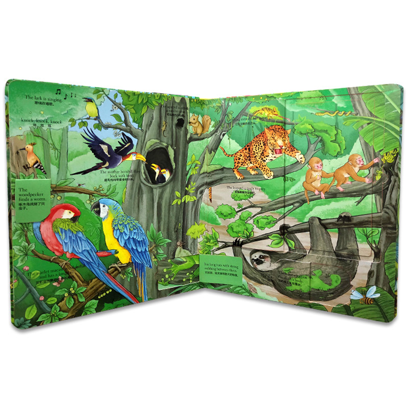 纸绘本硬壳解密幼儿亲子雨淋揭秘趣味科普百科