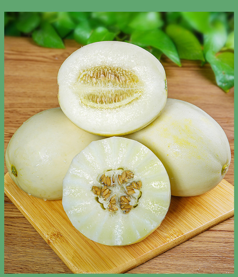 陕西阎良甜瓜10斤整箱新鲜水果当季头茬香瓜甜瓜