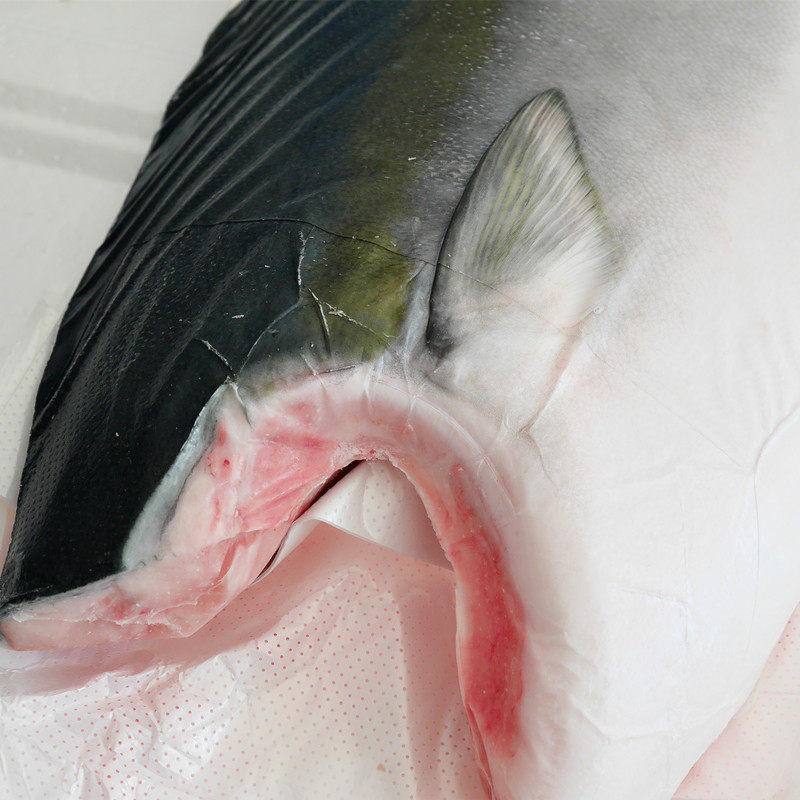 日料好货寒鰤鱼黄狮鱼中段鱼脂丰富口感250克其它