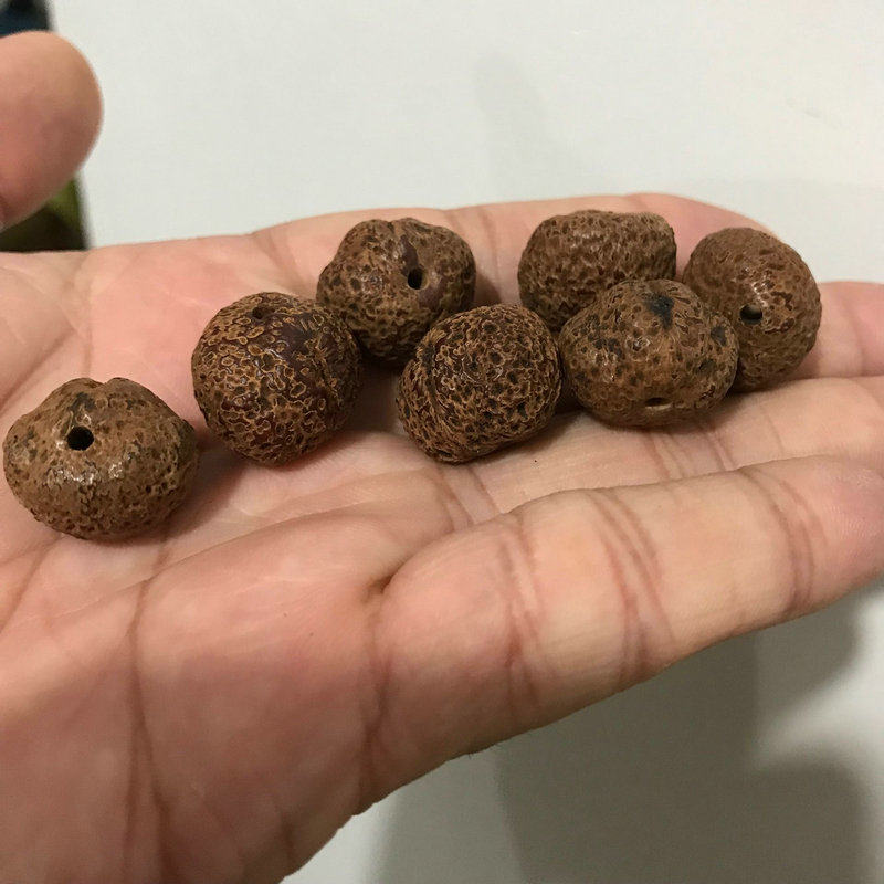 天然金蟾星月菩提提子1417mm佛珠散珠diy毛衣佛珠