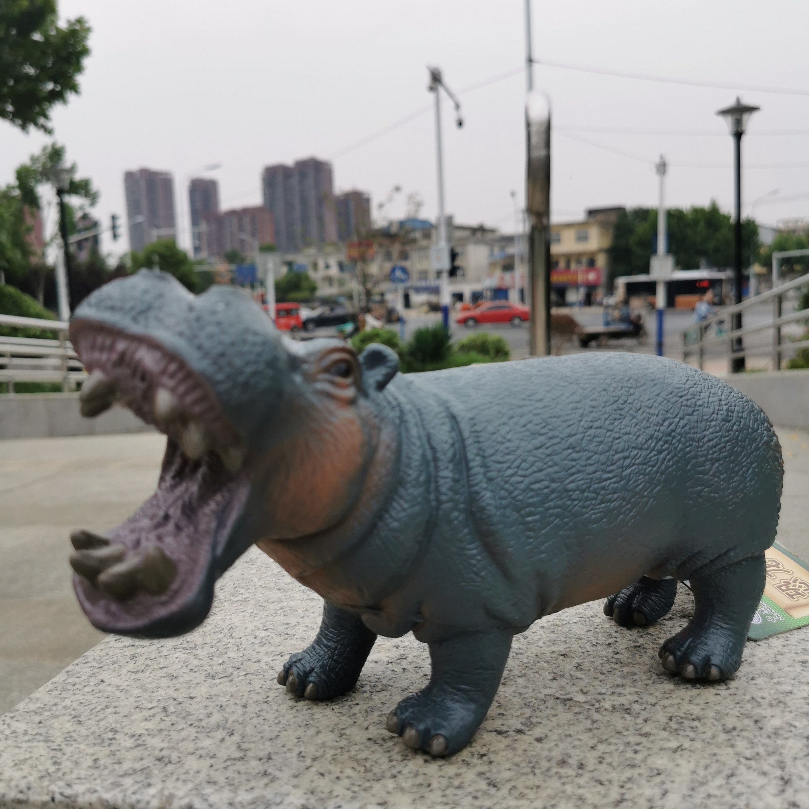 中杰铭品牌软体搪胶发声大河马野生动物玩具仿真模型仿真