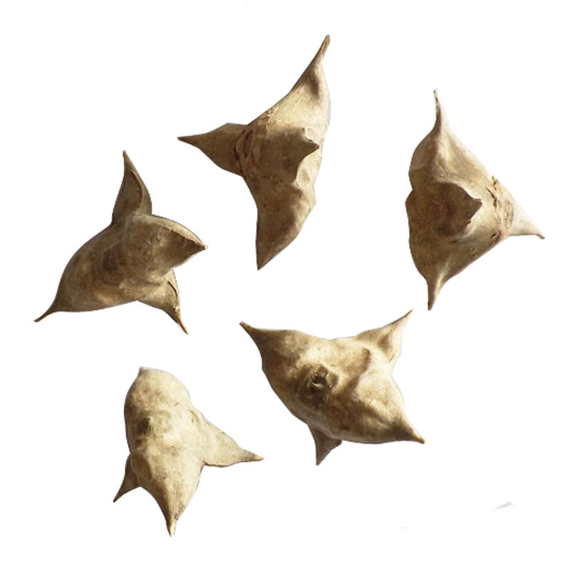 菱角1斤包邮新鲜采摘自然晒干四角干货含肉其它干货