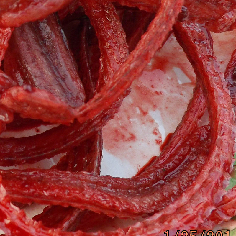 2份顺丰包邮现杀野生带血黄鳝骨新鲜长鱼骨鳝鱼血骨头300g无盐