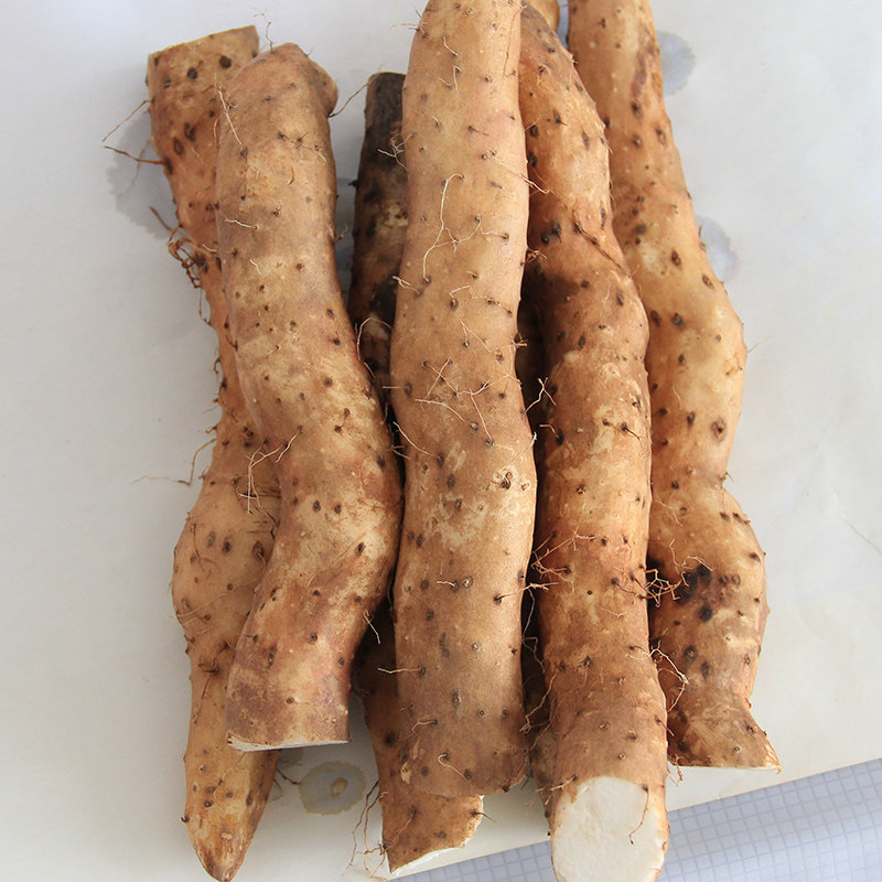 5斤装湖北恩施利川面山药团堡富硒山药米山药新鲜农家山药包邮