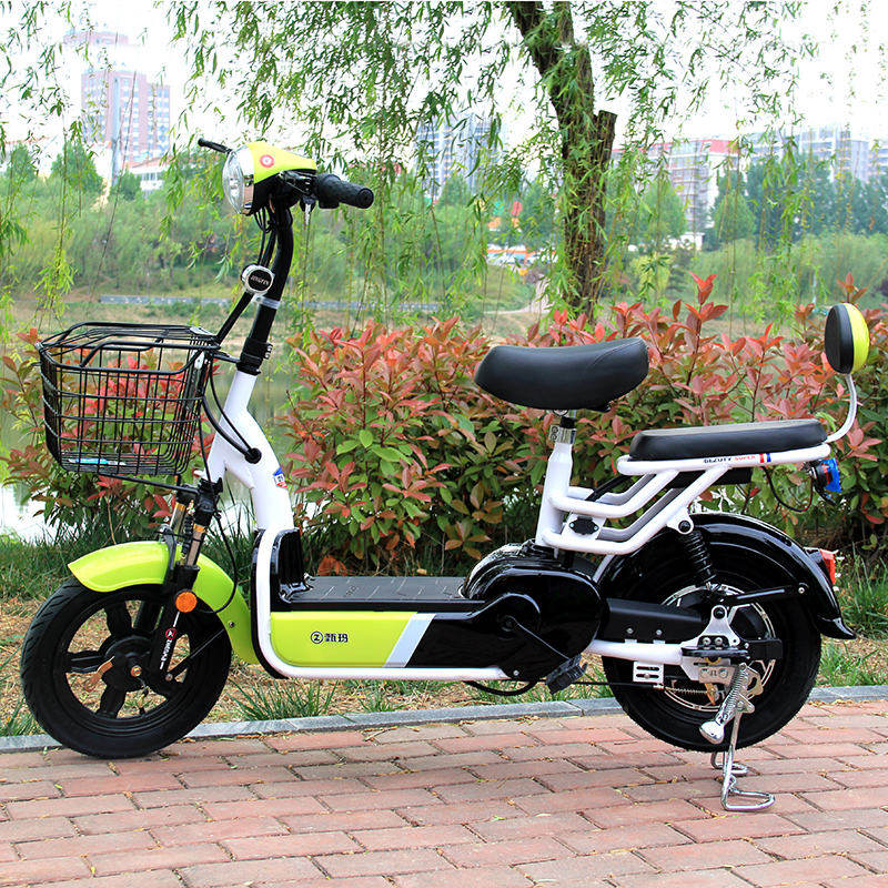 2020脚踏电动真空二轮电瓶车女款男女新国标48v电动自行车