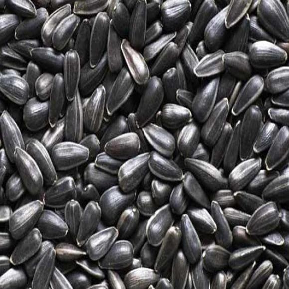 聪明黑珍珠葵花籽2500g网红办公室百吃不厌休闲零食瓜子