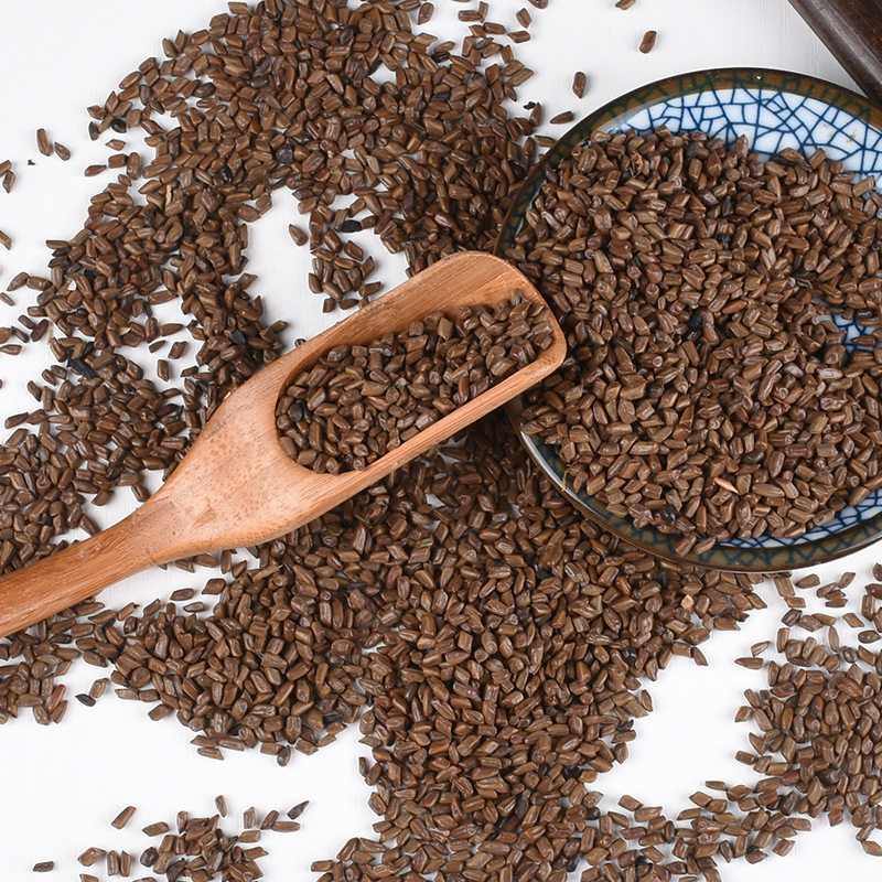 明子散装野决批菊结绝发散明决可做枕头中药材决明子