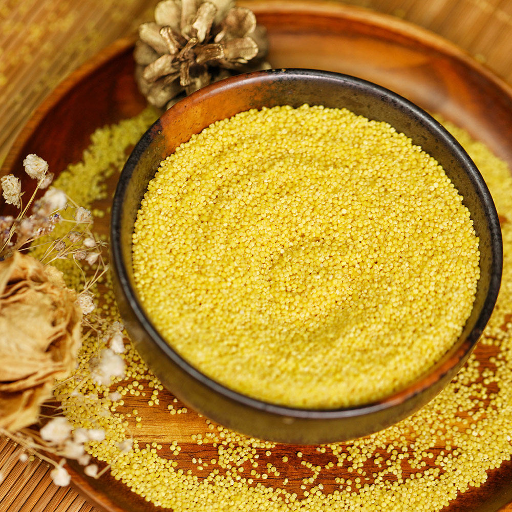 小米沐谷新米东北黄小米5斤五谷杂粮米粥朝阳粗粮小米