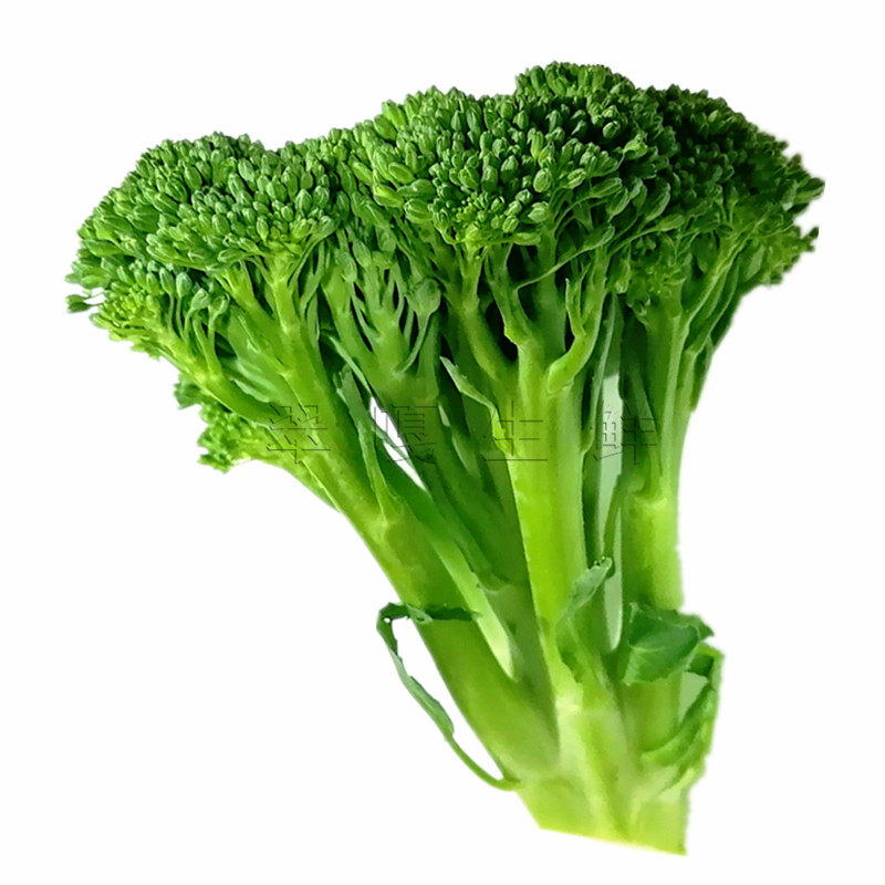 西兰苔正头指粗花枝翠嘎大件新鲜蔬菜兰花青花叶菜类