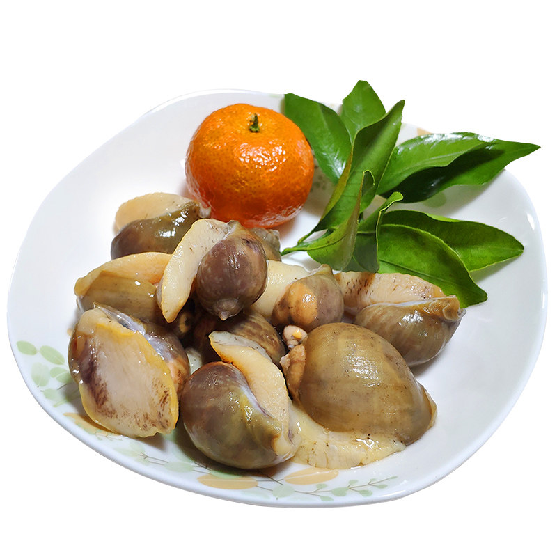 鲍螺黄金黄海珍珠老婆脚假鲍鱼海螺玉螺水产蓝口贝