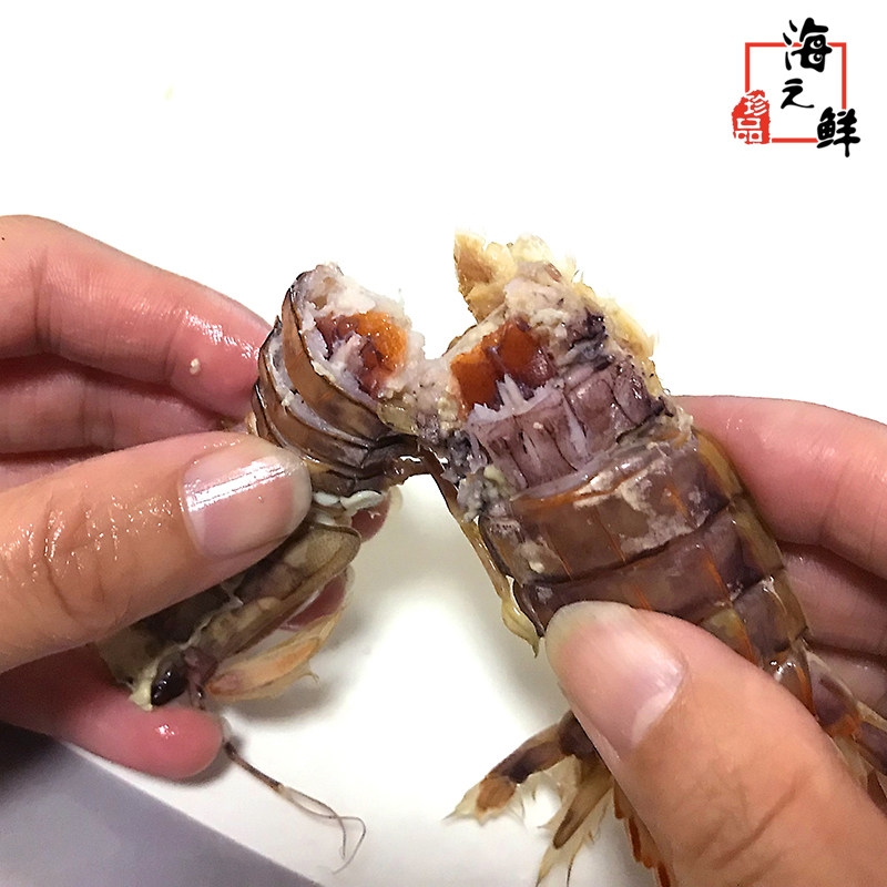 丹东全母超大满籽黄膏皮皮虾东港鲜活虾姑虾爬子