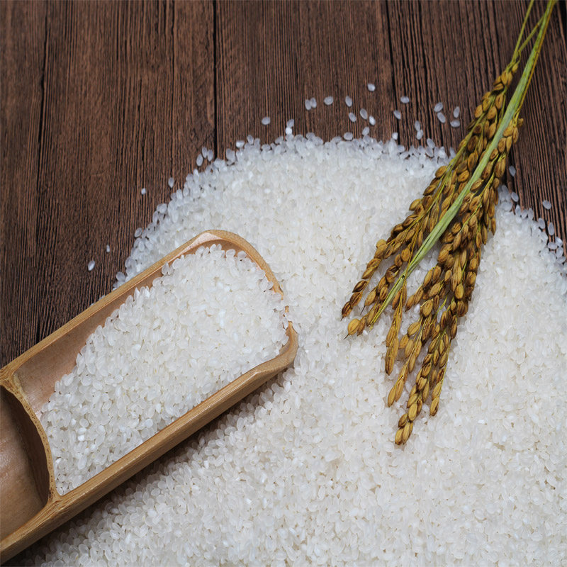 2020新米江苏射阳大米20斤新米射阳米10公斤足斤优惠装