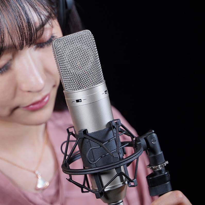 nt2s专业大振膜多指向人声录音配音直播合唱话筒