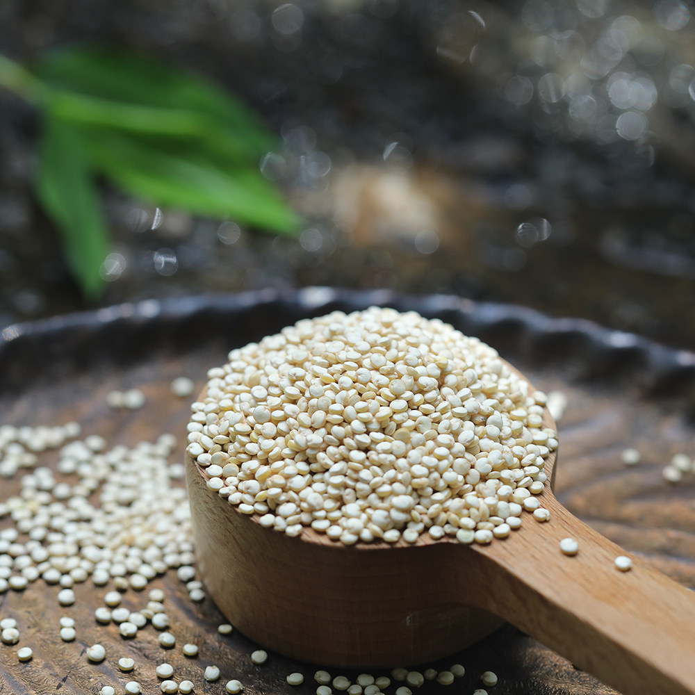 乐作丨白藜麦营养可做宝宝辅食更易煮出芽杂粮粗粮非即食500克