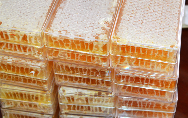 峰巢蜜嚼着吃的盒装纯正蜂蜜巢天然农家自产野生原蜜蜂窝整块500g