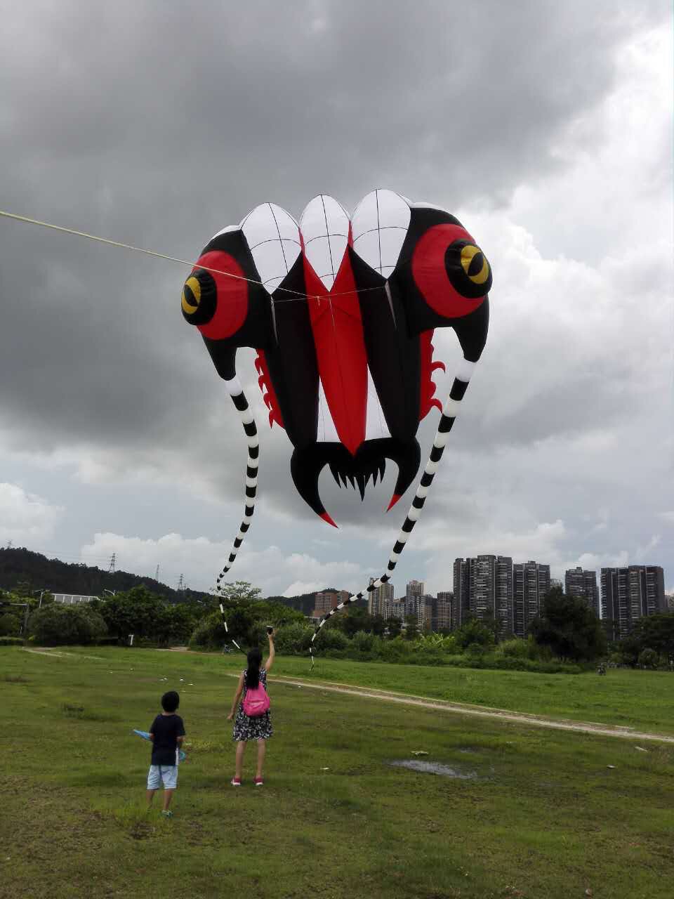 风筝2020年巨型老四马老四大型高档新款风筝