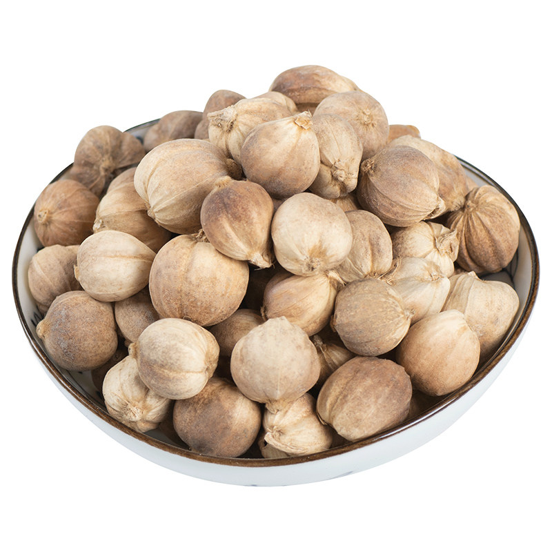 香料百草调料白蔻白豆蔻豆蔻白寇仁中药材卤料香辛料