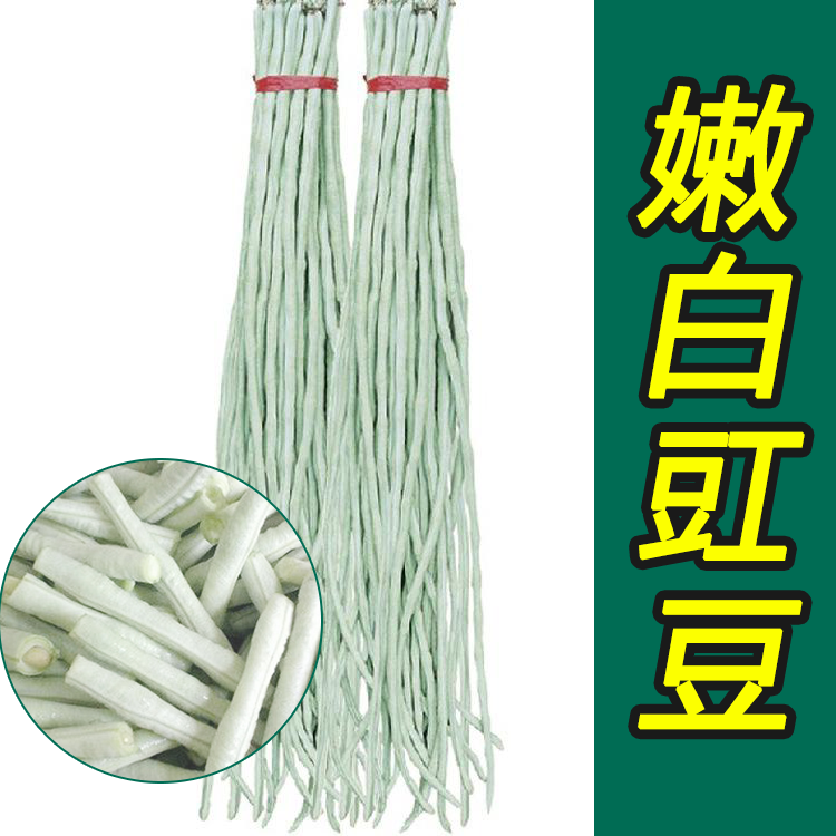 种子嫩白豇豆特长长白豆角高产大田春夏夏秋季家庭园艺种子