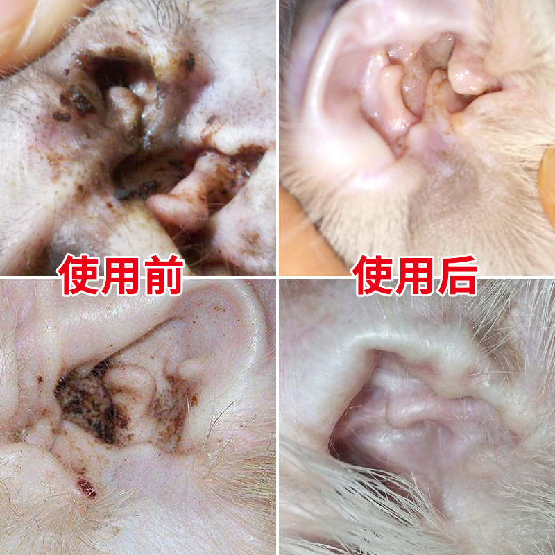 猫耳螨狗狗滴耳液油宠物除耳螨耳朵清洁液洁耳猫用洗耳液猫咪用品