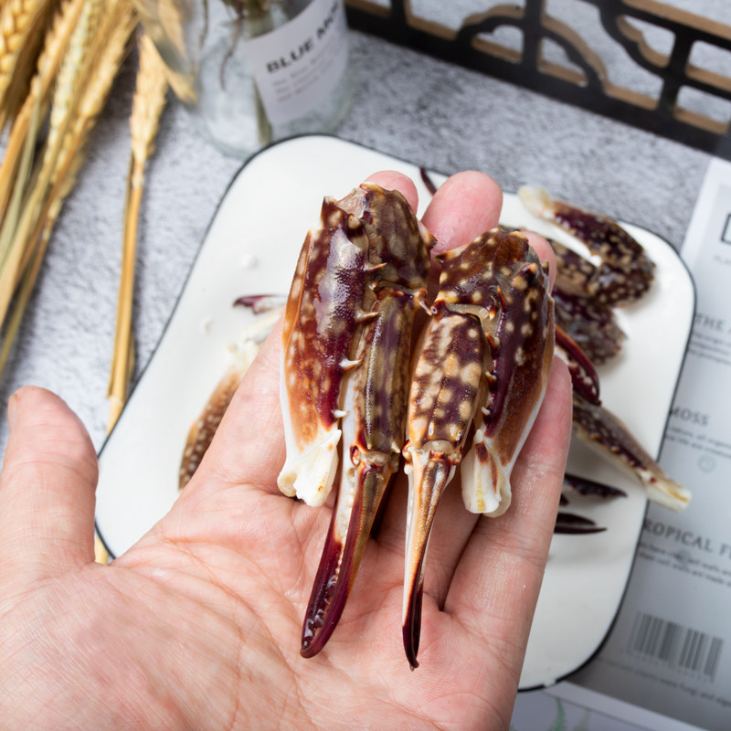 舟山鲜活冷冻梭子大蟹新鲜蟹脚蟹腿冰鲜水产梭子蟹