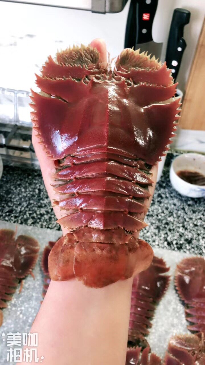 鲜活野生琵琶虾虾排新鲜虾姑九齿扇