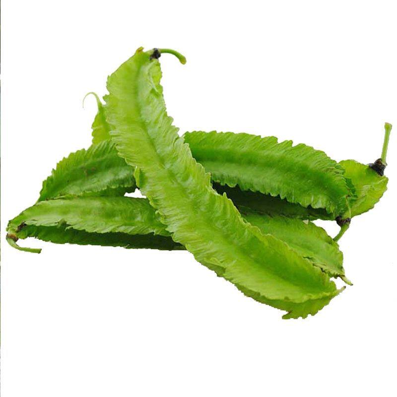 海南豆角四棱四角豆龙角皇帝鲜嫩应季新鲜蔬菜新鲜豆类