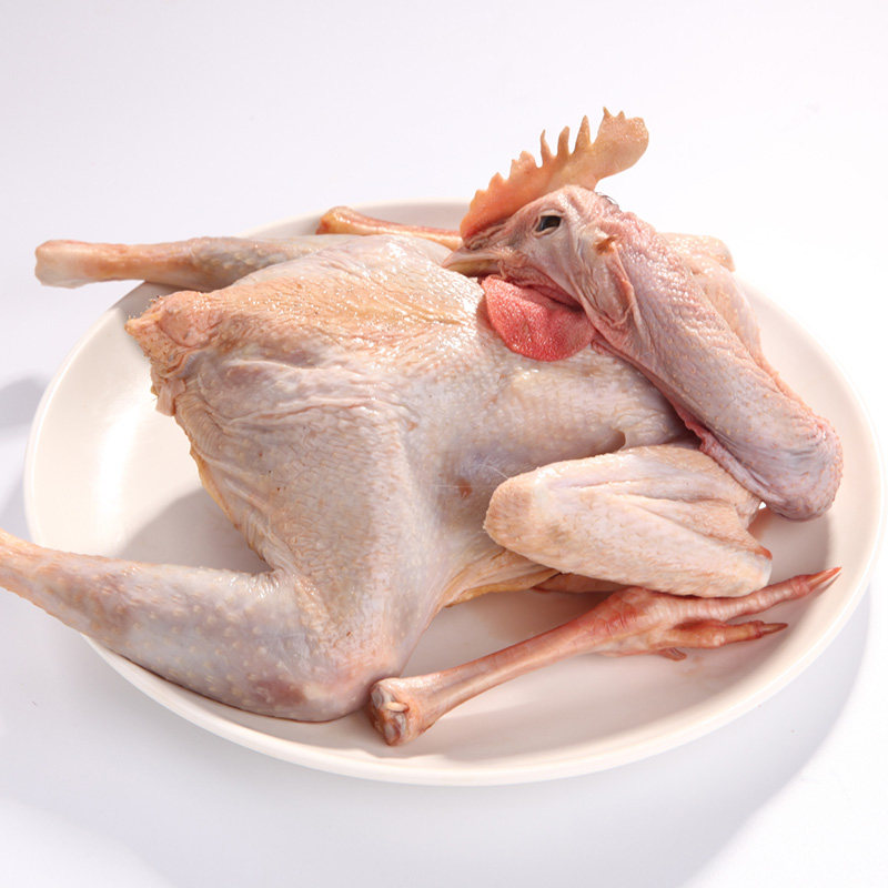 土鸡散养农家大公鸡新鲜鸡肉农村笨鸡山鸡公鸡整鸡
