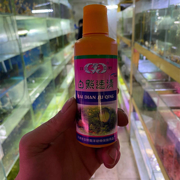 白点白点净小瓜观赏鱼热带小型金鱼日野速清鱼药鱼缸净水剂
