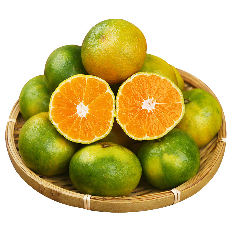 石门蜜桔橘子新鲜薄皮无籽桔子孕妇水果新鲜现摘非橙子5/10斤包邮