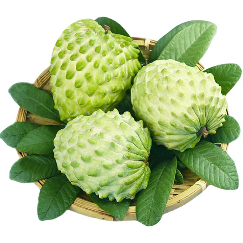 海南台湾牛奶凤梨释迦果大果水果新鲜释迦摩尼果特级番荔枝5斤_双氙