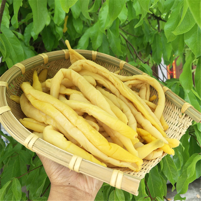 瓜皮黄瓜皮新鲜钦州3斤1件灵山自制博白广西脱水蔬菜