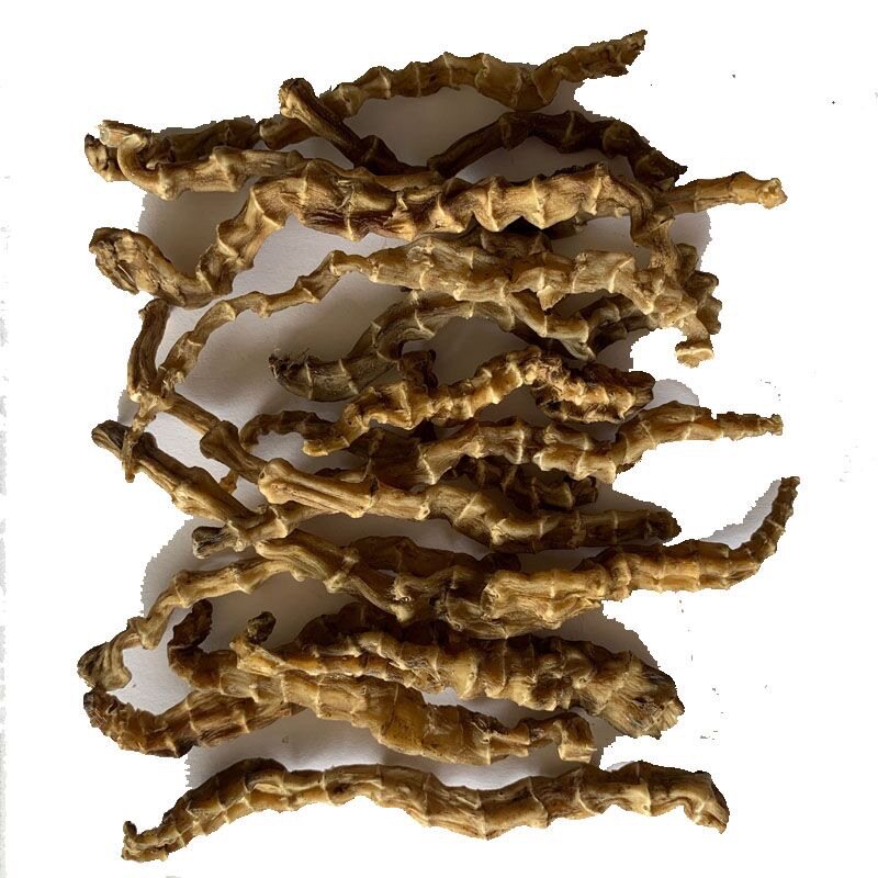 九阳中药材地参云南腾冲特产虫草竹节参干500g其他药食同源食品