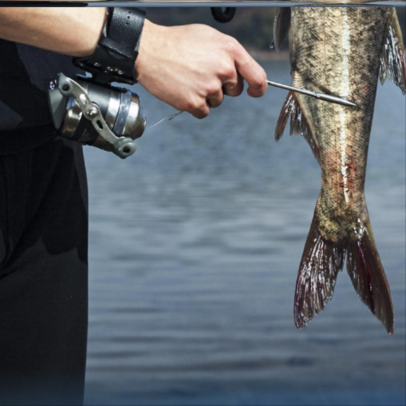 射鱼弹弓飞鲨鲨鱼镖鱼鳔彪套装神器打鱼装备其他垂钓用品