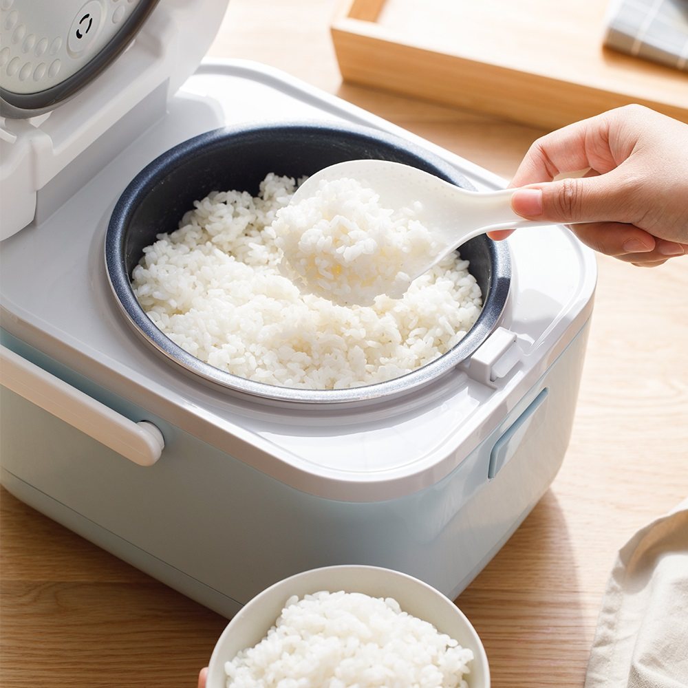 小熊电饭煲家用小型全自动智能电饭锅小型2-3人迷你宿舍煮饭锅