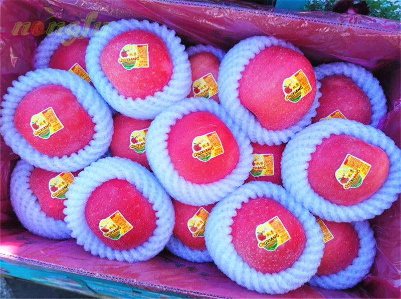 苹果山东秋香水果新鲜栖霞红富士当季大果8斤苹果