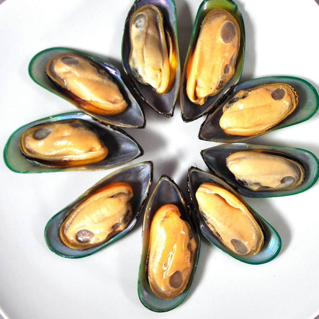 半壳口贝新鲜冷冻新西兰翡翠贻贝海虹贝怡1kg青口贝