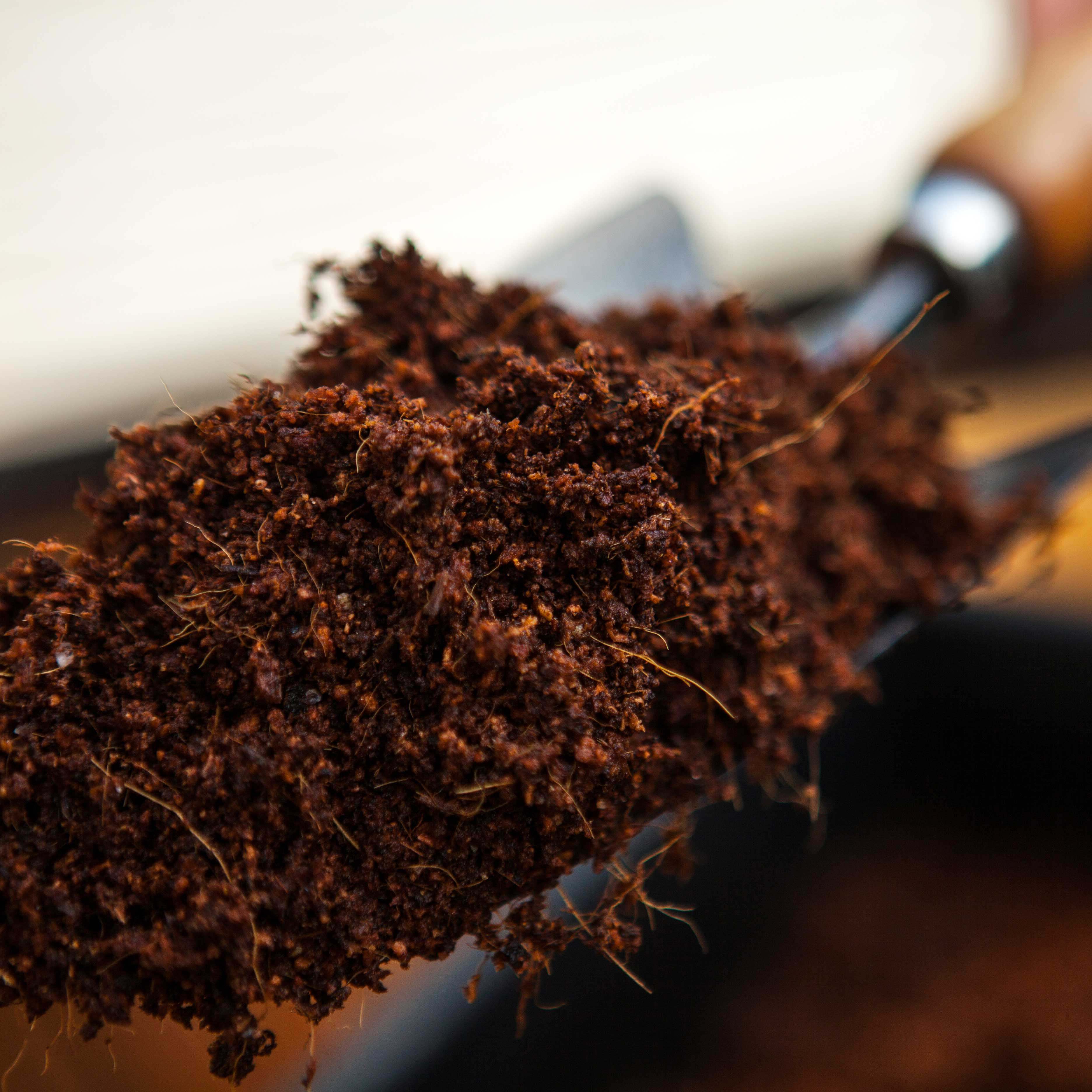 大块椰砖椰糠脱盐椰土耶砖养花种菜通用型爬宠介质