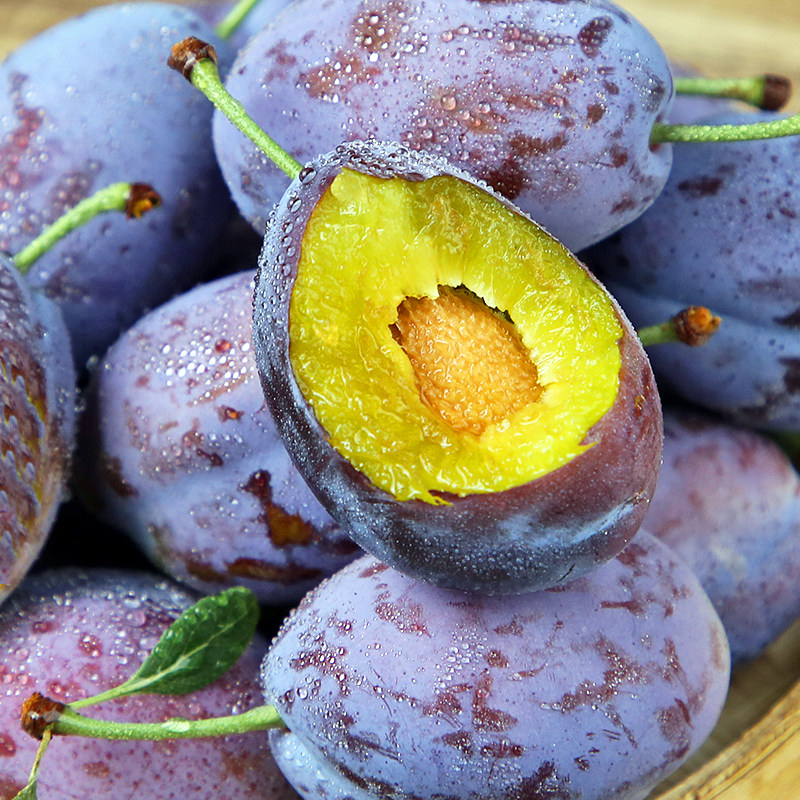 新疆小脆法兰西特级孕妇西梅季孕妇包邮应顺丰整箱李子