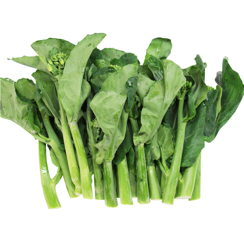 粗条芥兰种子芥蓝阳台盆栽庭院有机蔬菜菜种家庭园艺种子
