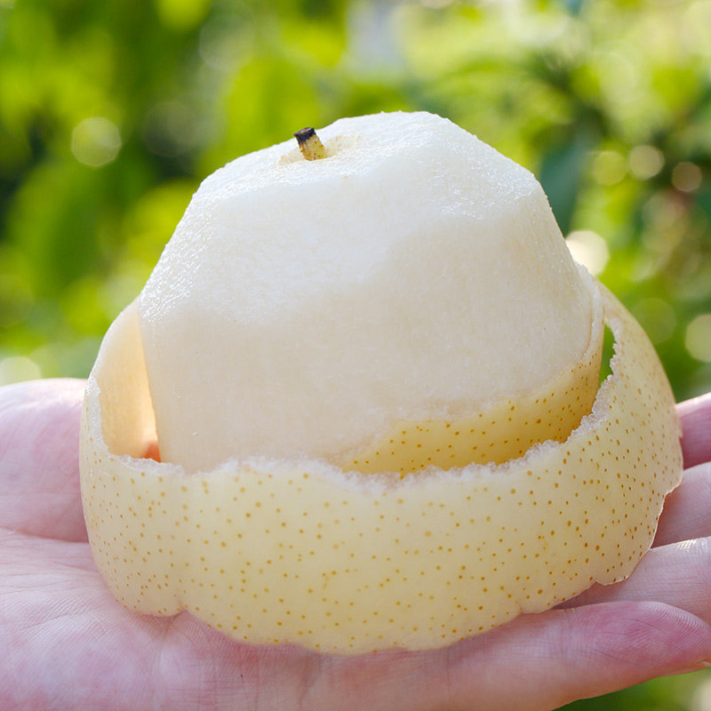 河北皇冠梨子新鲜10斤当季水果脆甜多汁雪梨梨