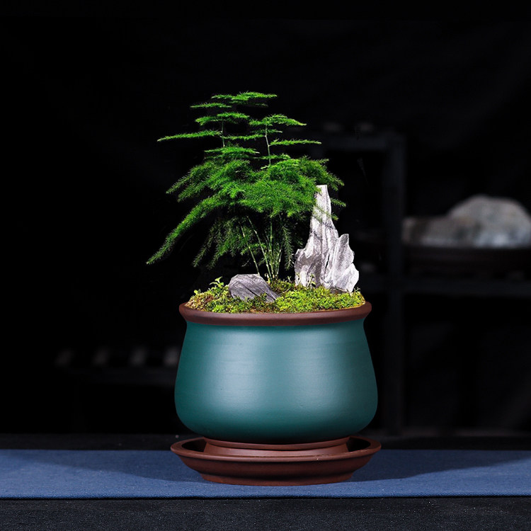 精品紫砂兰花盆特大陶瓷花盆君子兰专用盆带紫砂托盘盆景盆栽包邮