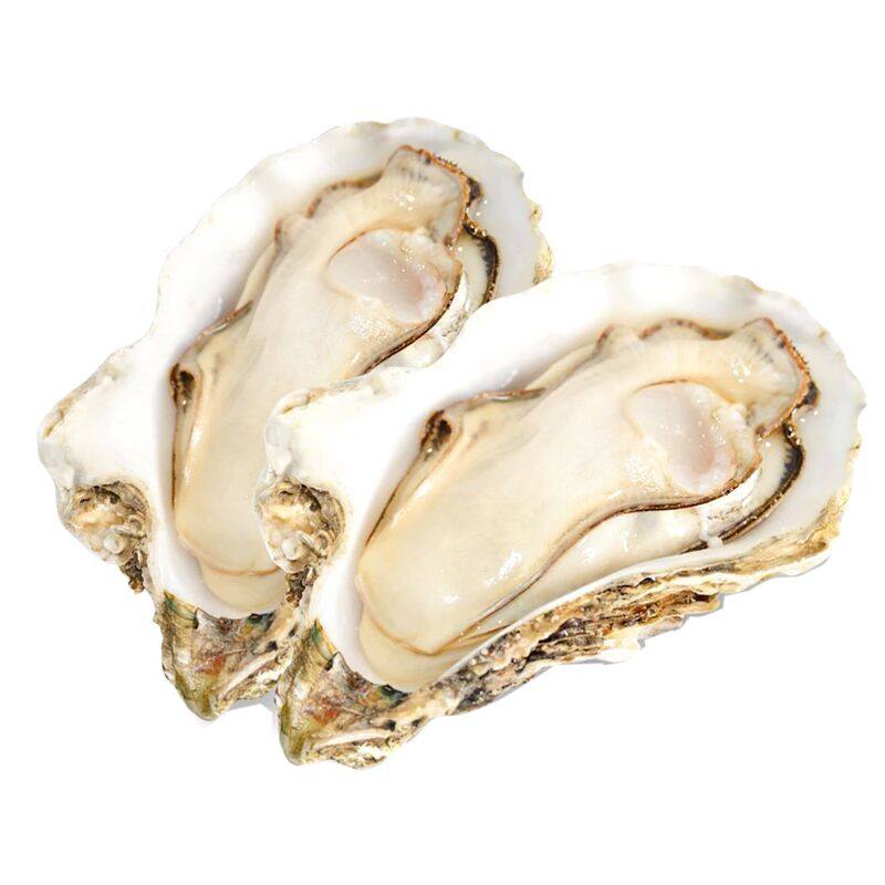 生蚝鲜活新鲜乳山牡蛎带壳海蛎子5斤10斤顺丰威海海鲜现捞水产品