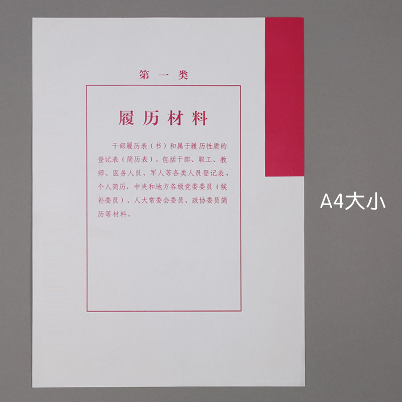 干部人事档案分类纸 多字版彩色隔页纸 十大类 人事档案装订专用