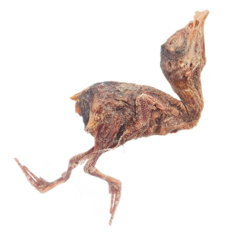 猫咪冻干鹌鹑宠物猫零食生骨肉冻干肉幼猫粮营养小鹌鹑干35只左右