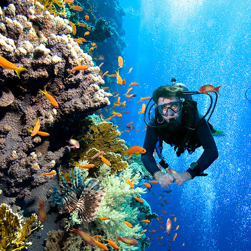 涠洲北海潜水岛船潜深海底珊瑚教练一对一酒店潜水