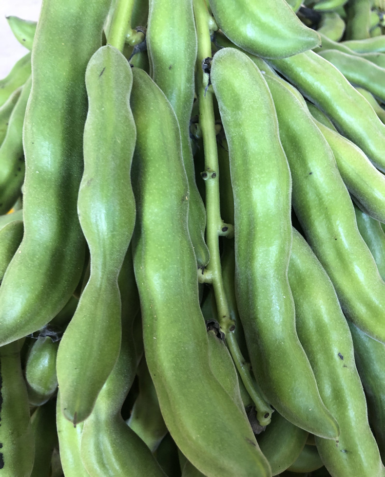 广西新鲜狗儿豆应当季农家现摘龙爪豆毛豆猫儿豆老虎豆蔬菜1/5斤-mc