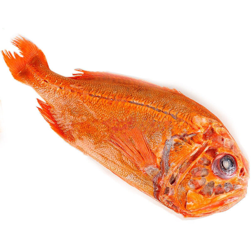 新西兰进口野生长寿鱼253斤新鲜冷冻南极深海橙鲷鱼包空运包邮