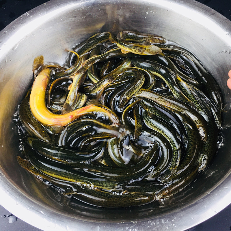 泥鳅新鲜食用原生态鱼青鲜活水产河鲜500g活体淡水鱼类